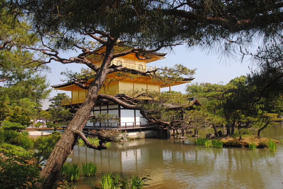 la struttura del kinkakuji
