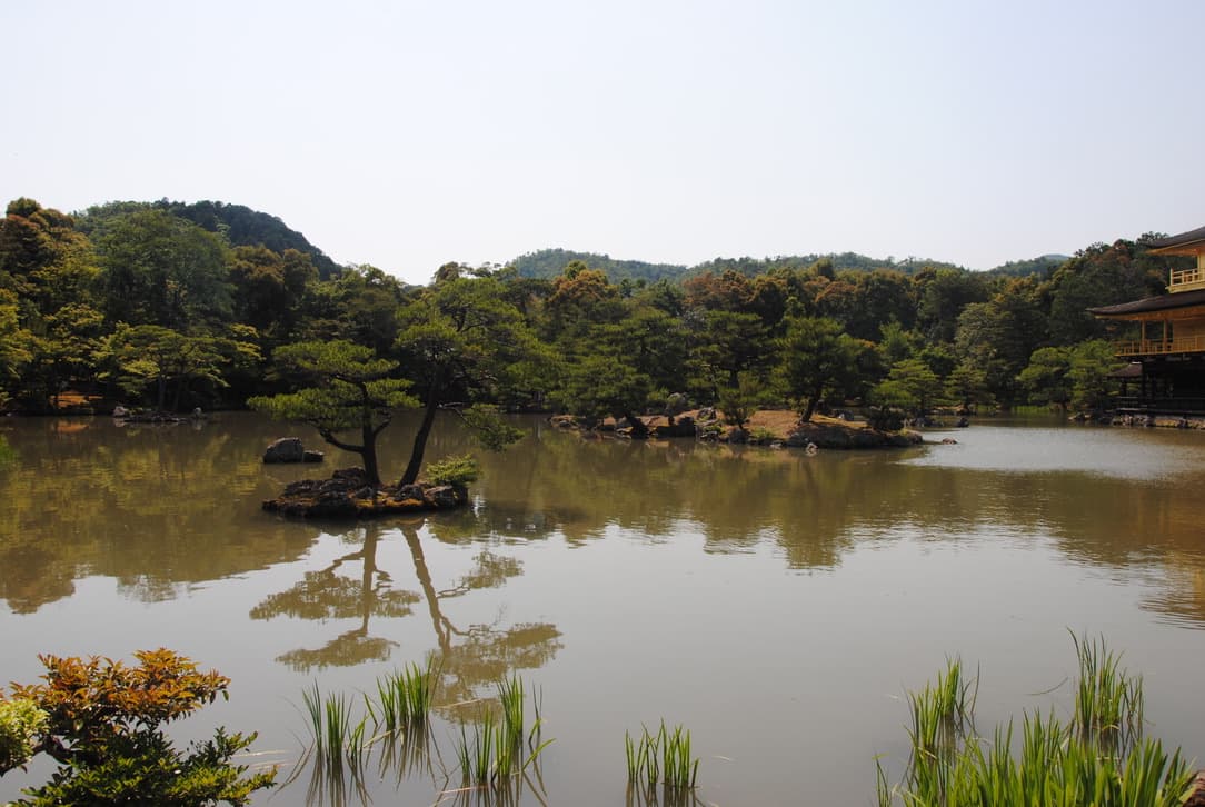 acqua e vegetazione