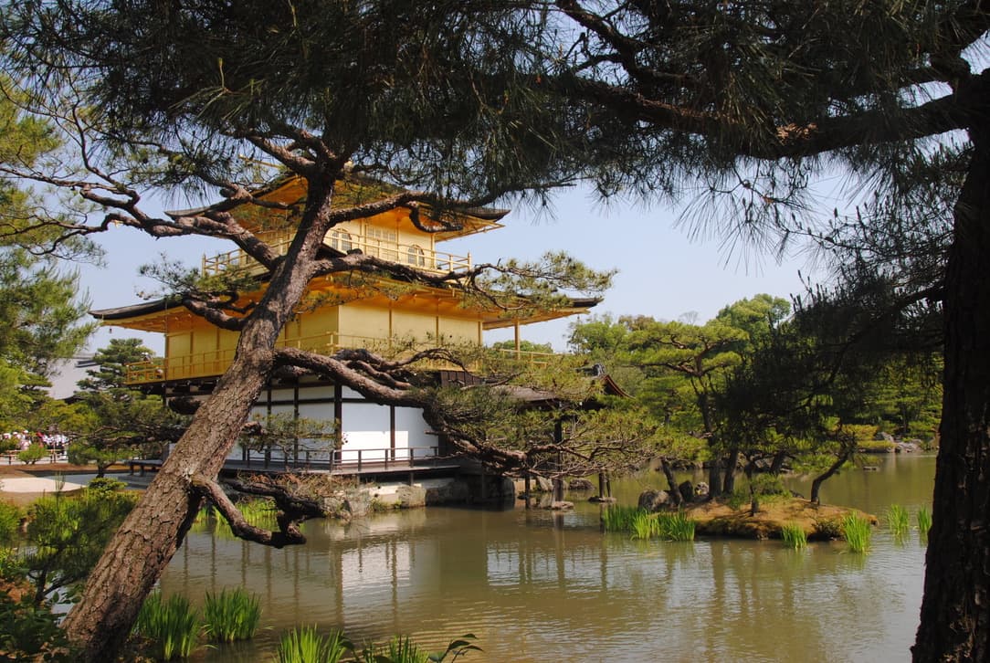 il kinkakuji e la vegetazione intorno