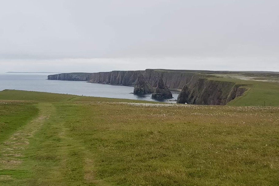 Highlands Scozzesi (Duncansby Head)
