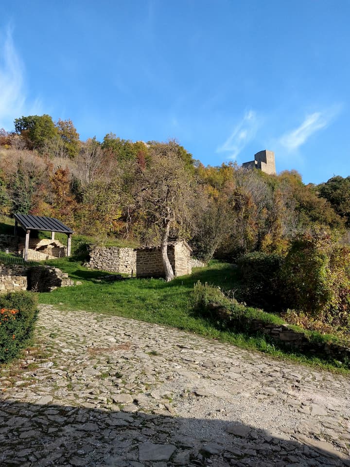 La Rocca di Pietrarubbia in lontananza