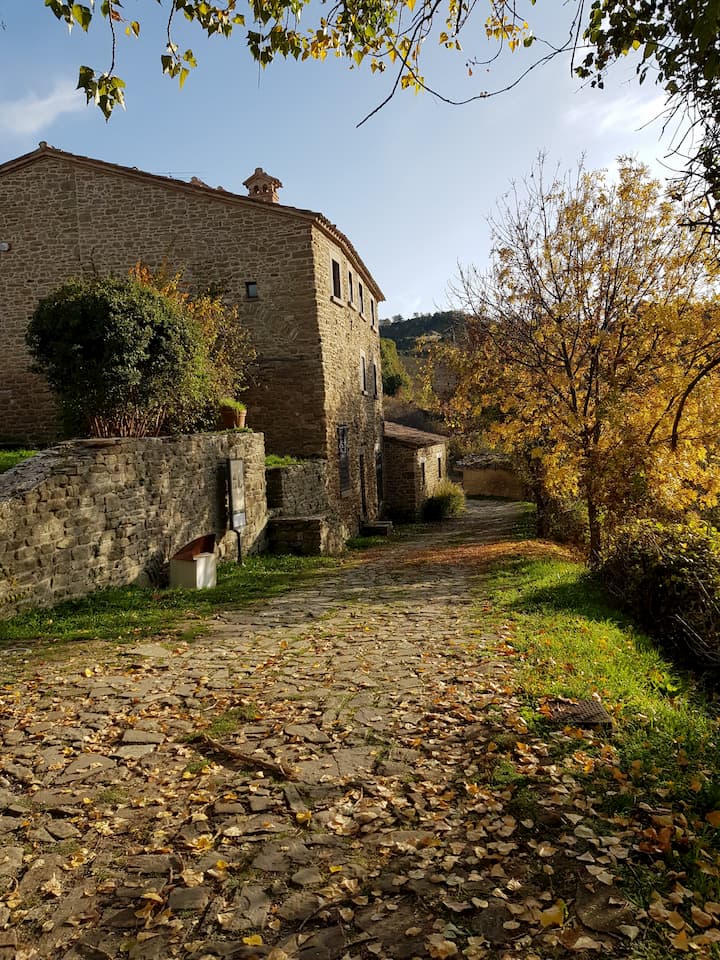 Una via laterale di Pietrarubbia