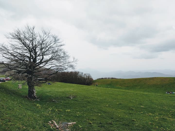 Il prato in cima al monte Nerone