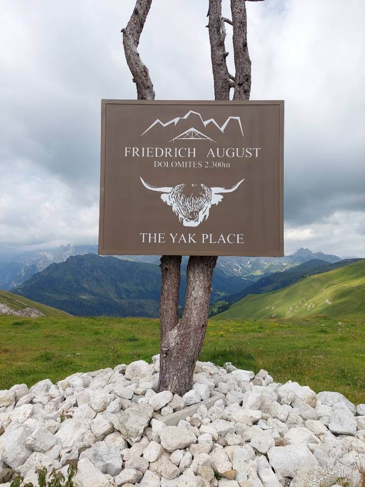 friedrich august the yak place
