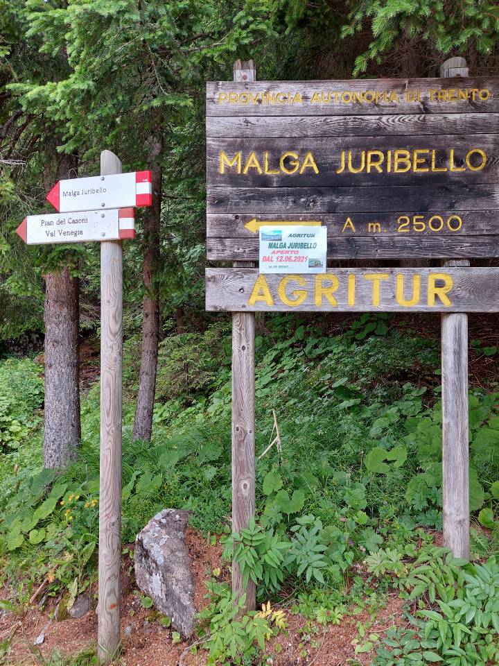 Inizio escursione a Malga Juribello da Passo Rolle