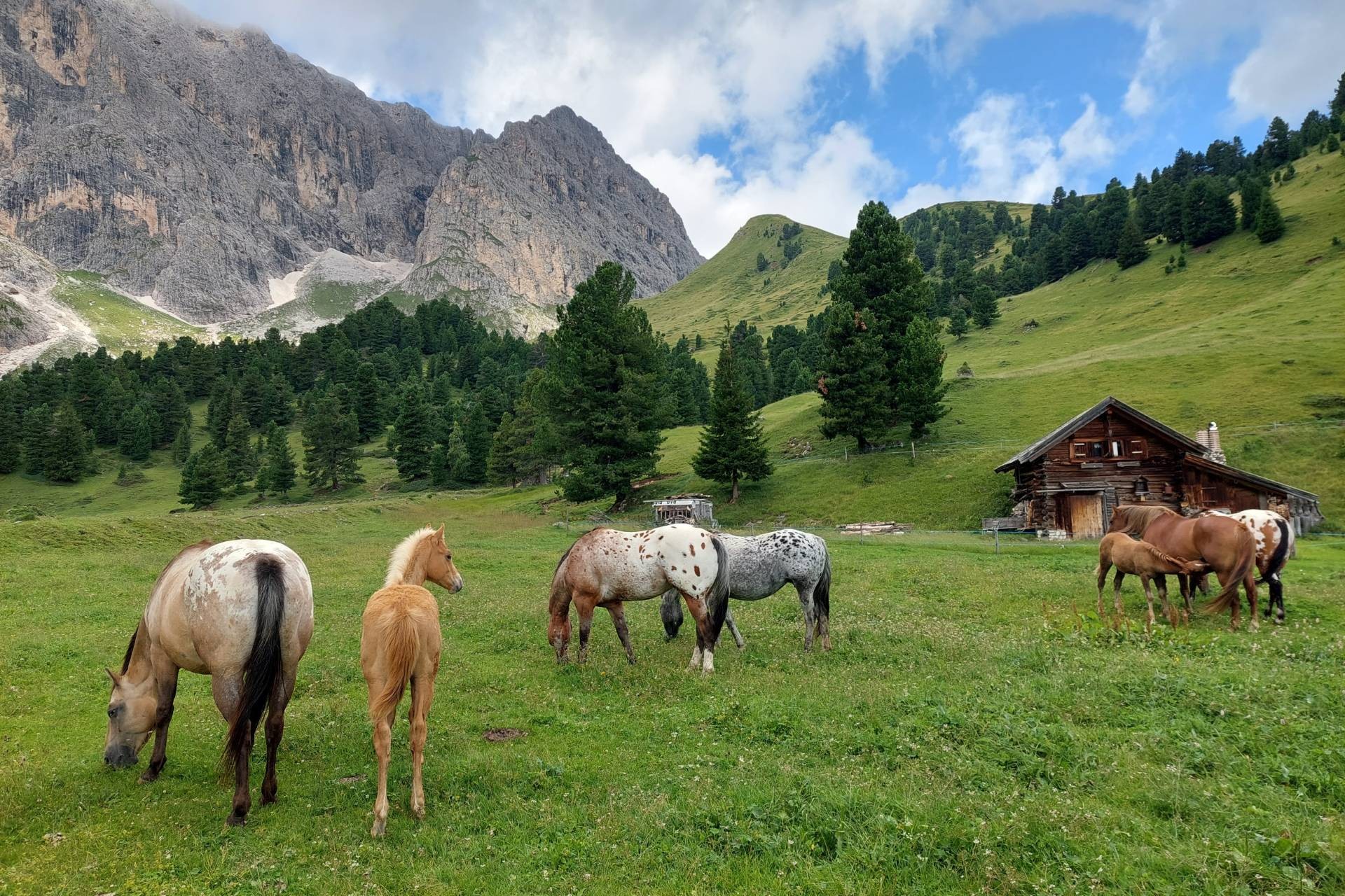 Val Duron in Val di Fassa