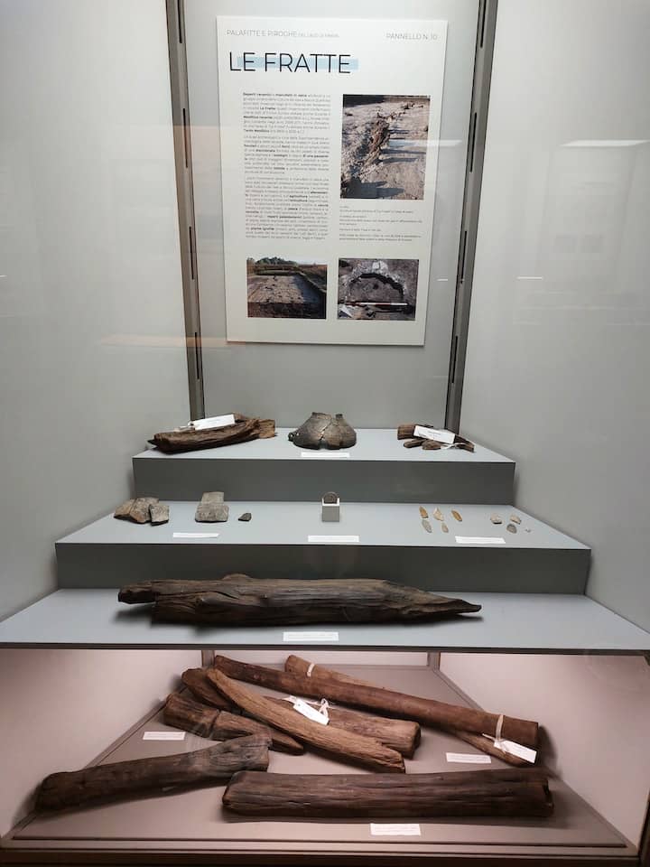 Reperti Museo Naturalistico Archeologico 
