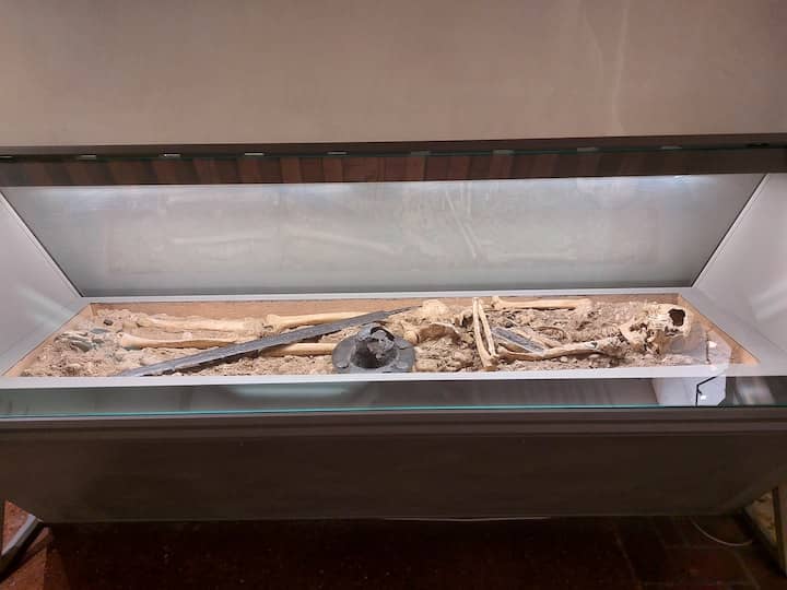 Scheletro nel Museo Naturalistico Archeologico