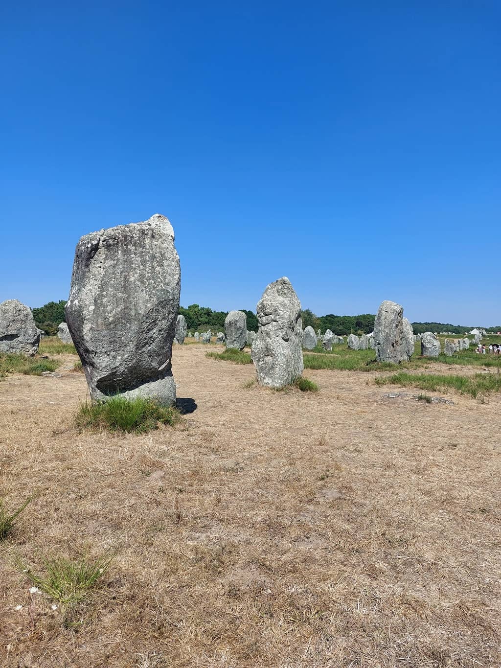 menhir di carnac