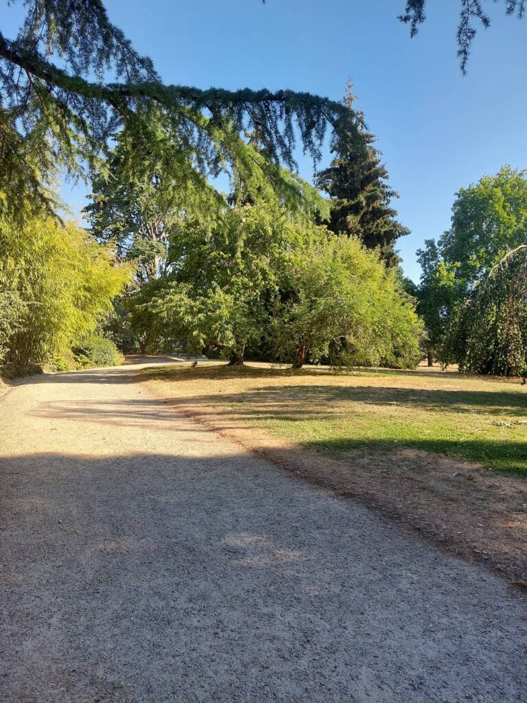 parc du thabor rennes