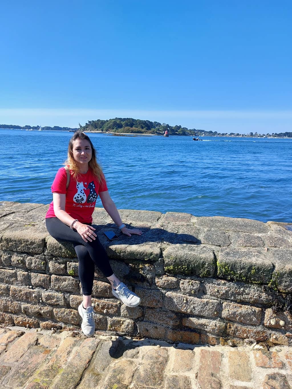 viaggieritratti golfo di morbihan