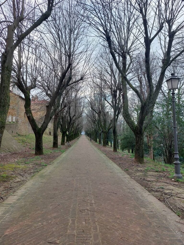 viale dei tigli