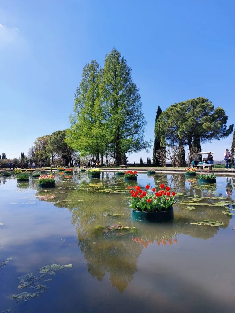 giardini acquatici parco sigurta