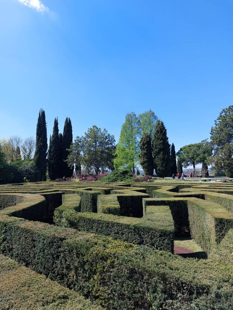 labirinto parco sigurta