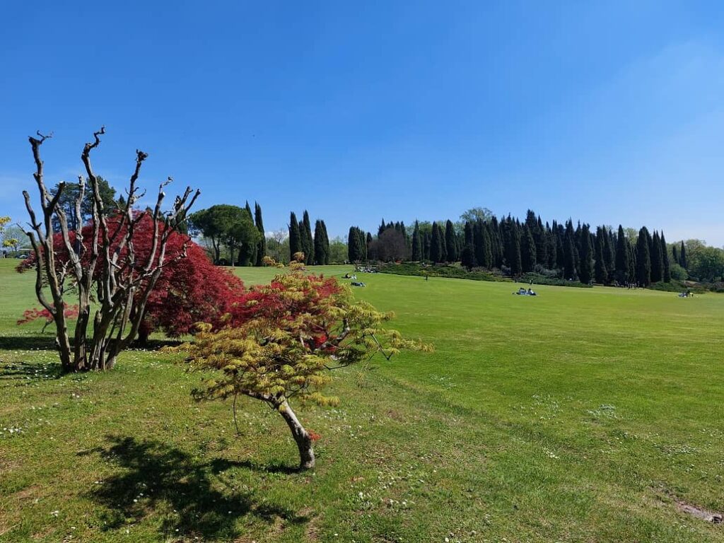 pic nic al parco sigurta