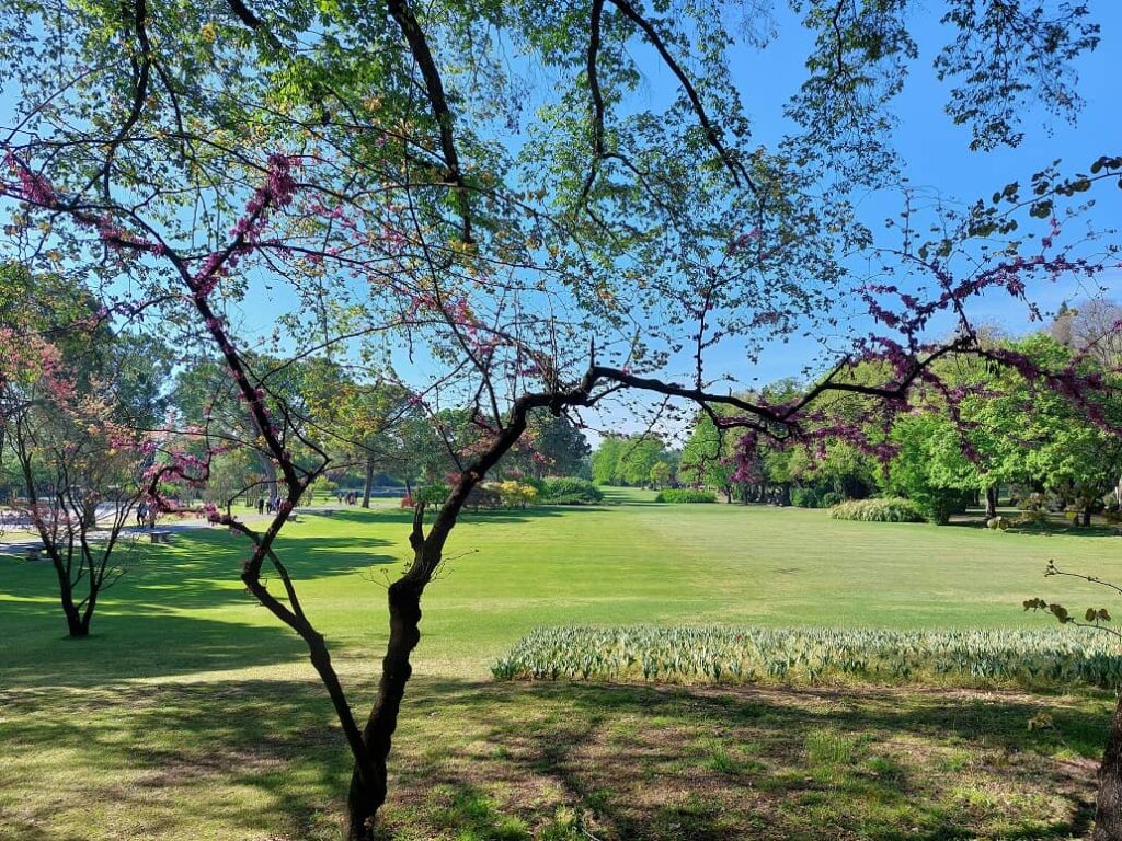 primavera al parco sigurta