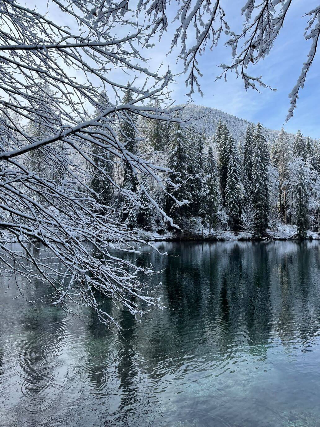 acqua verde del lago inferiore di fusine in inverno