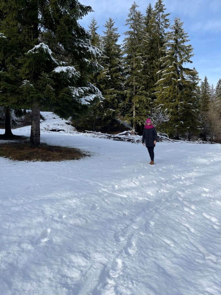il bosco con la neve
