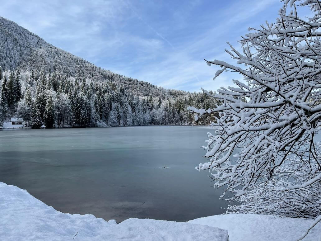 lago inferiore di fusine con la neve
