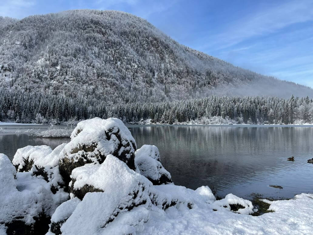 il bosco innevato intorno al lago superiore