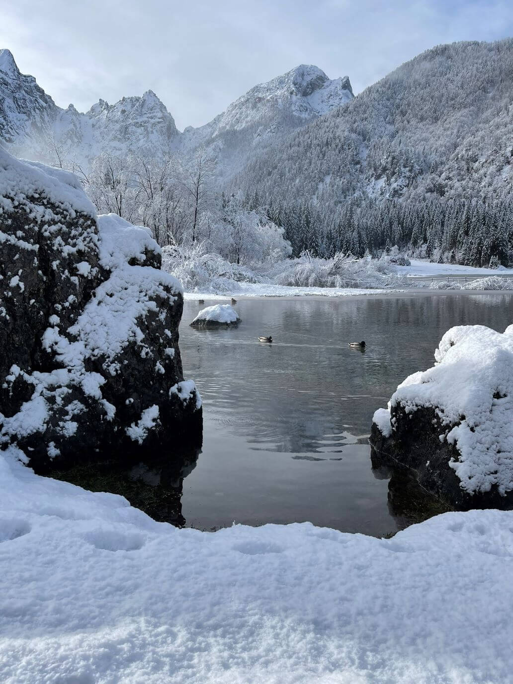 montagne innevate dietro ai laghi di fusine