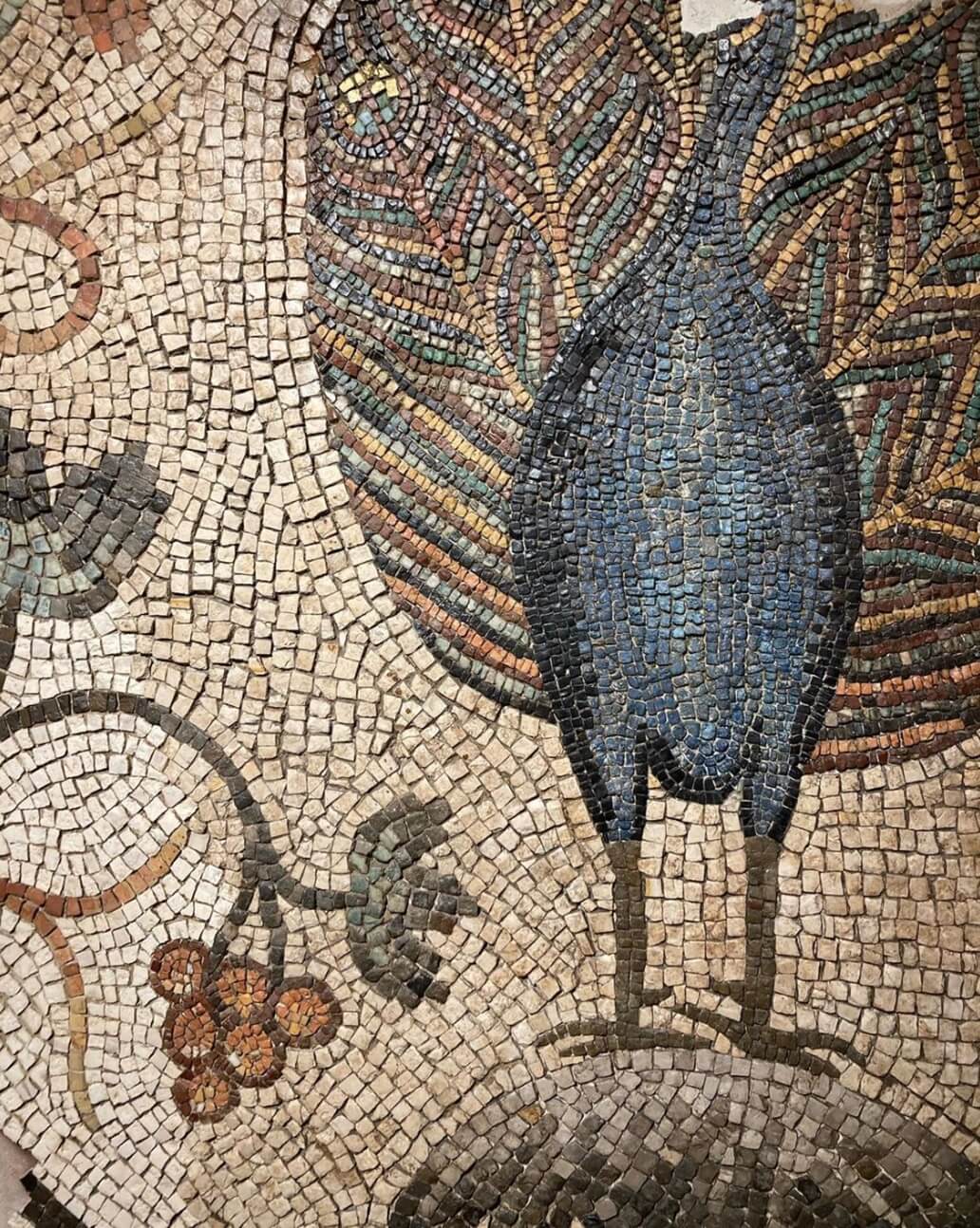 mosaico del pavone dentro la sudhalle di aquileia
