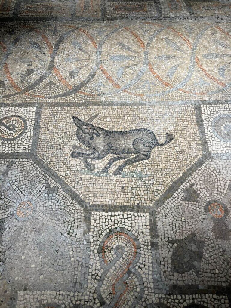 particolare del pavimento a mosaico della cripta degli scavi