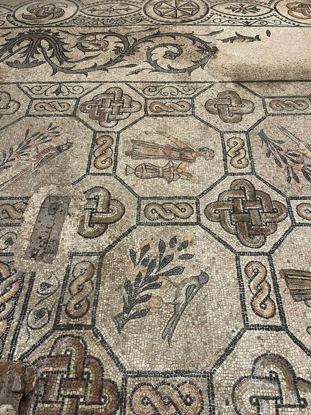 pavimento a mosaico della basilica di santa maria assunta