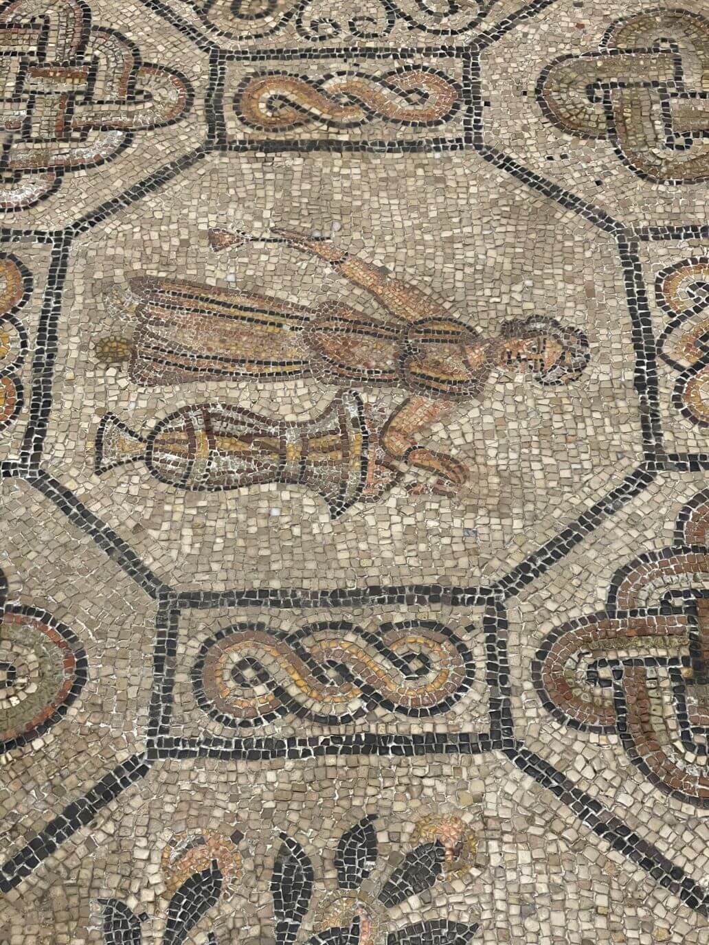 pavimento musivo della basilica di santa maria assunta