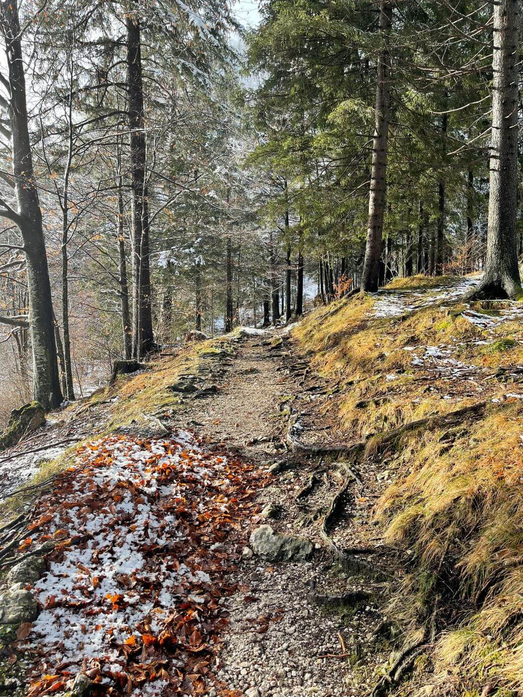 sentiero giro del lago in inverno