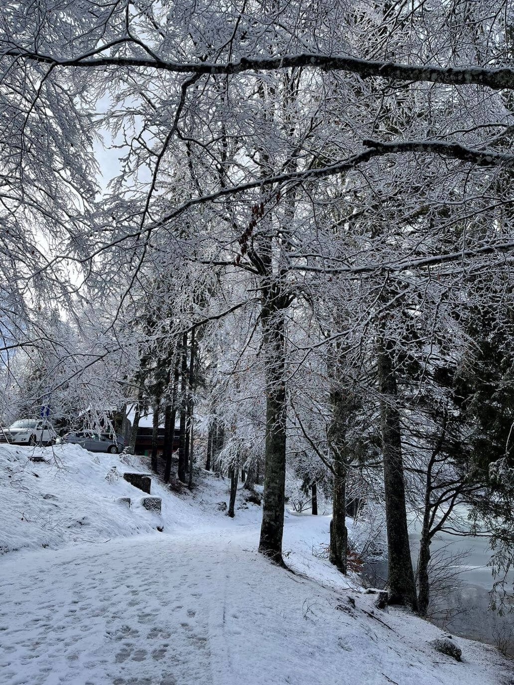 il sentiero innevato del lago inferiore
