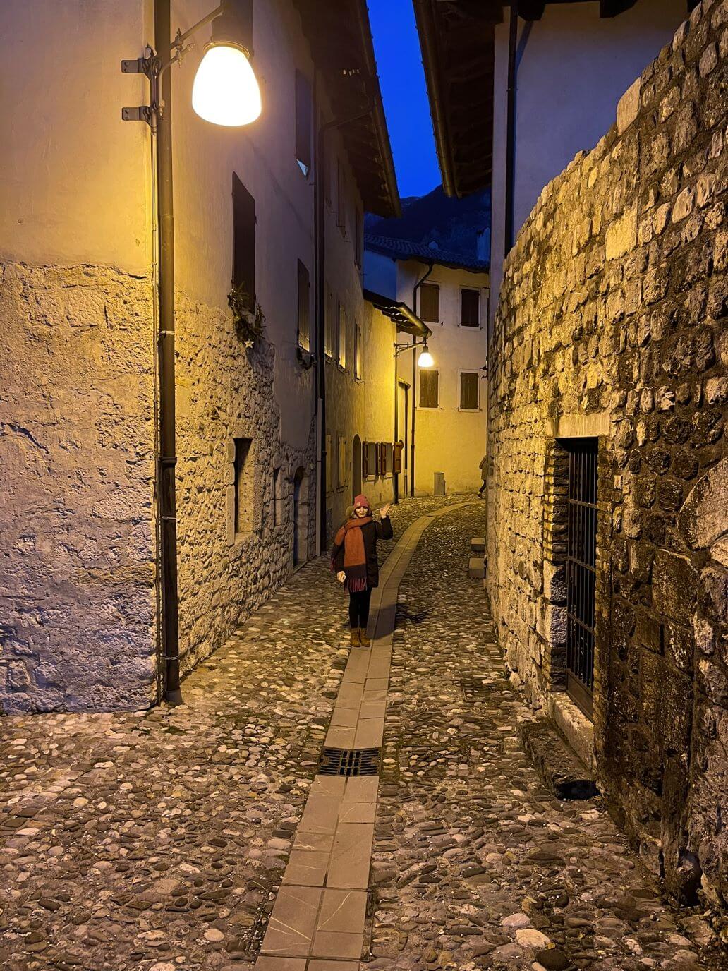 viaggi e ritratti a venzone