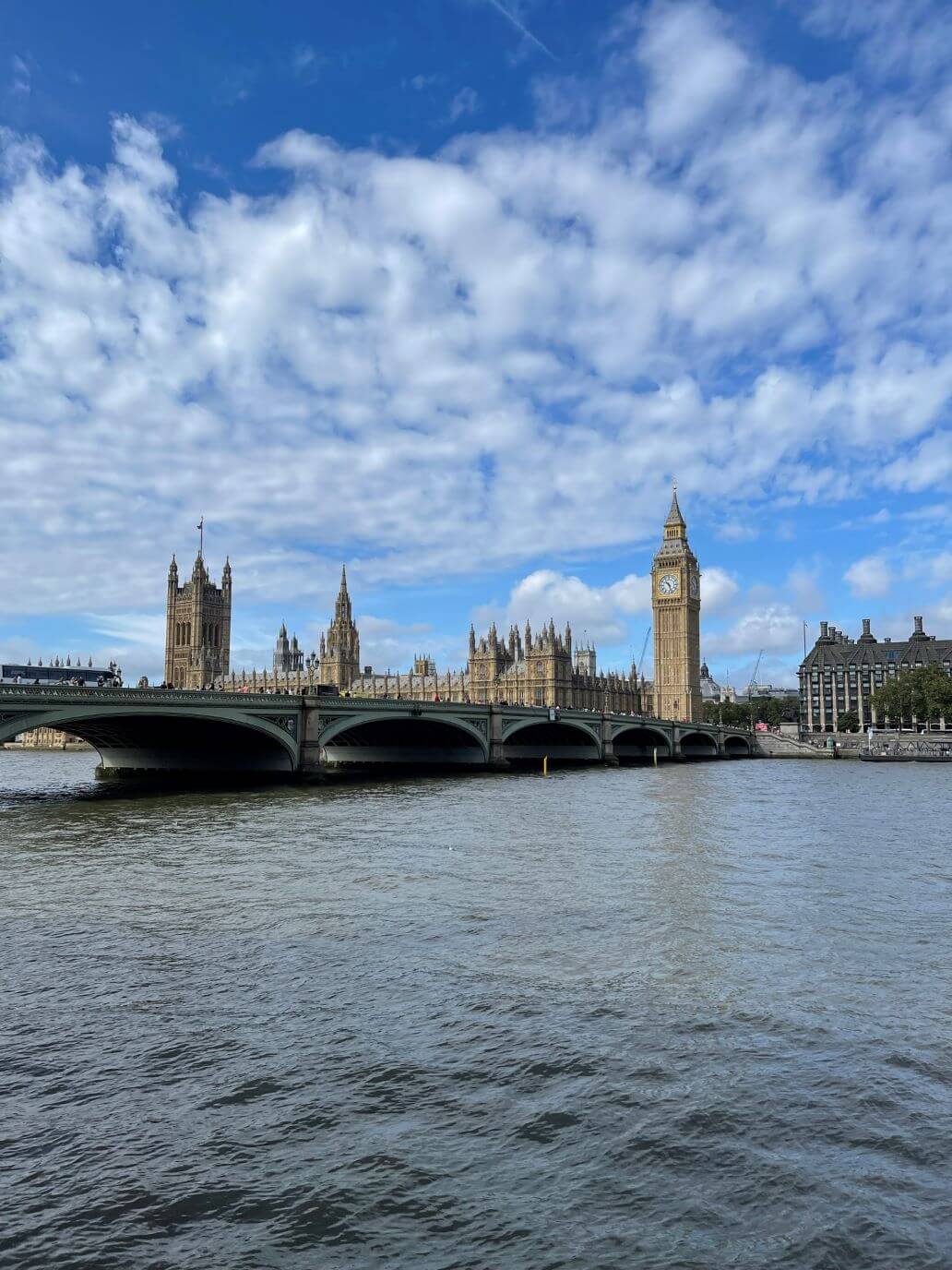 vista su westminster