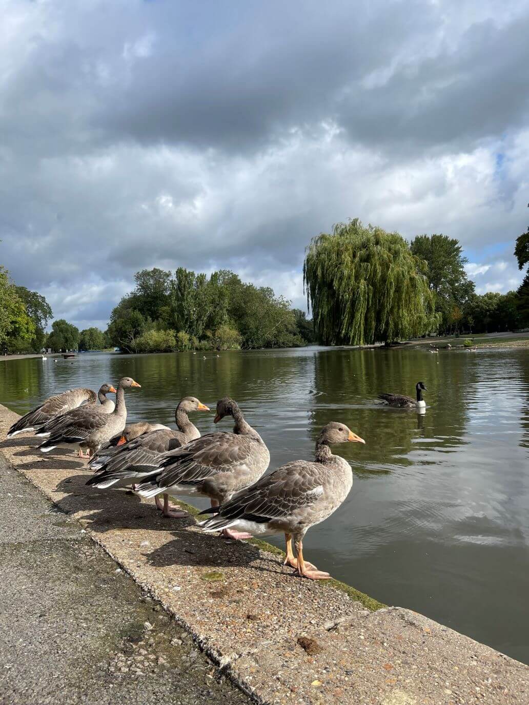 anatre a regents park