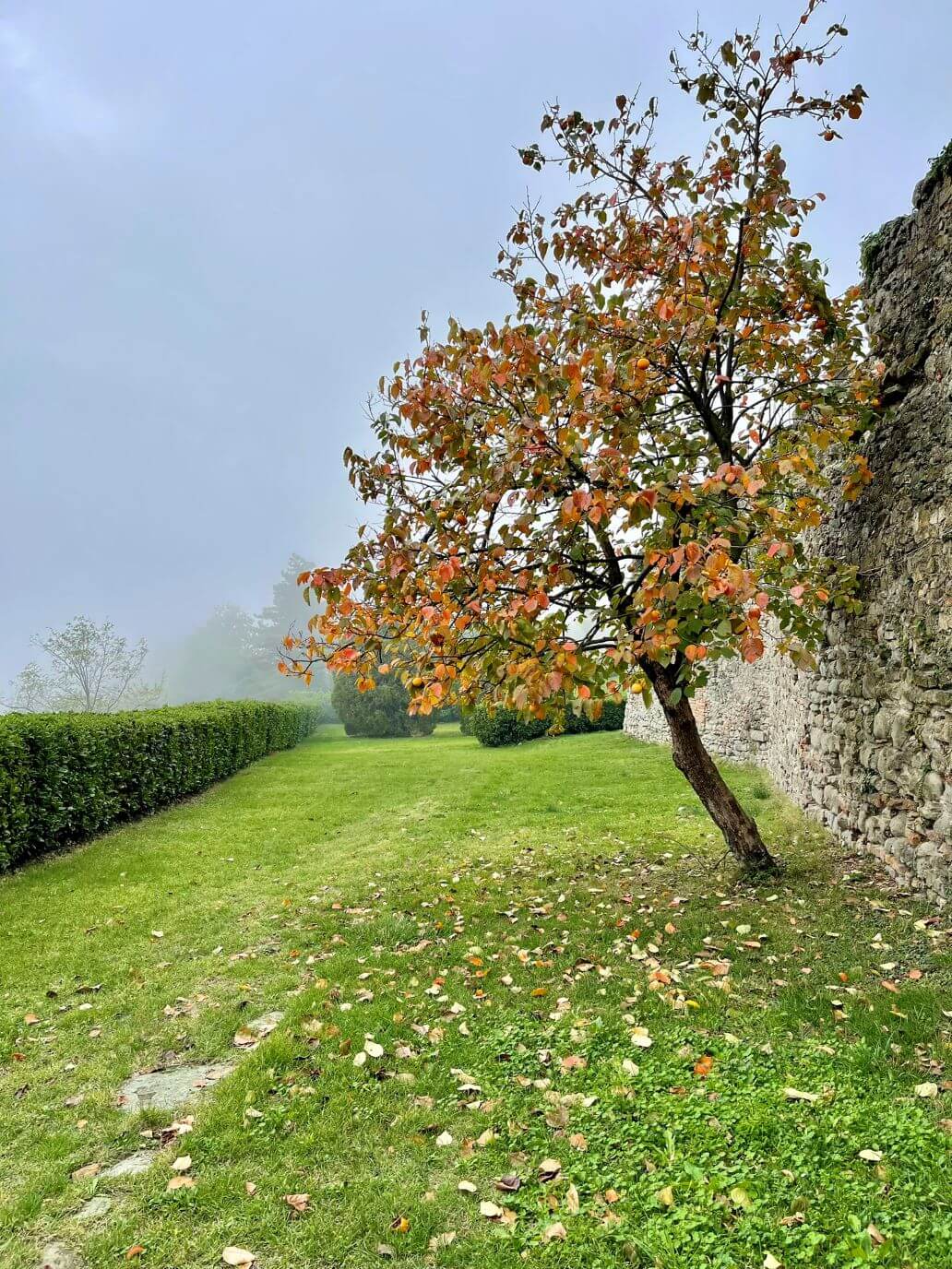 cortile rocca d'olgisio