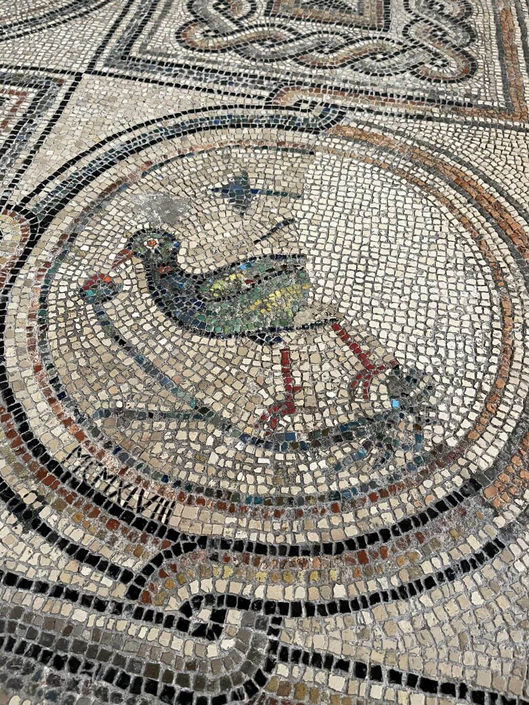 pavimento a mosaico della basilica di santa eufemia