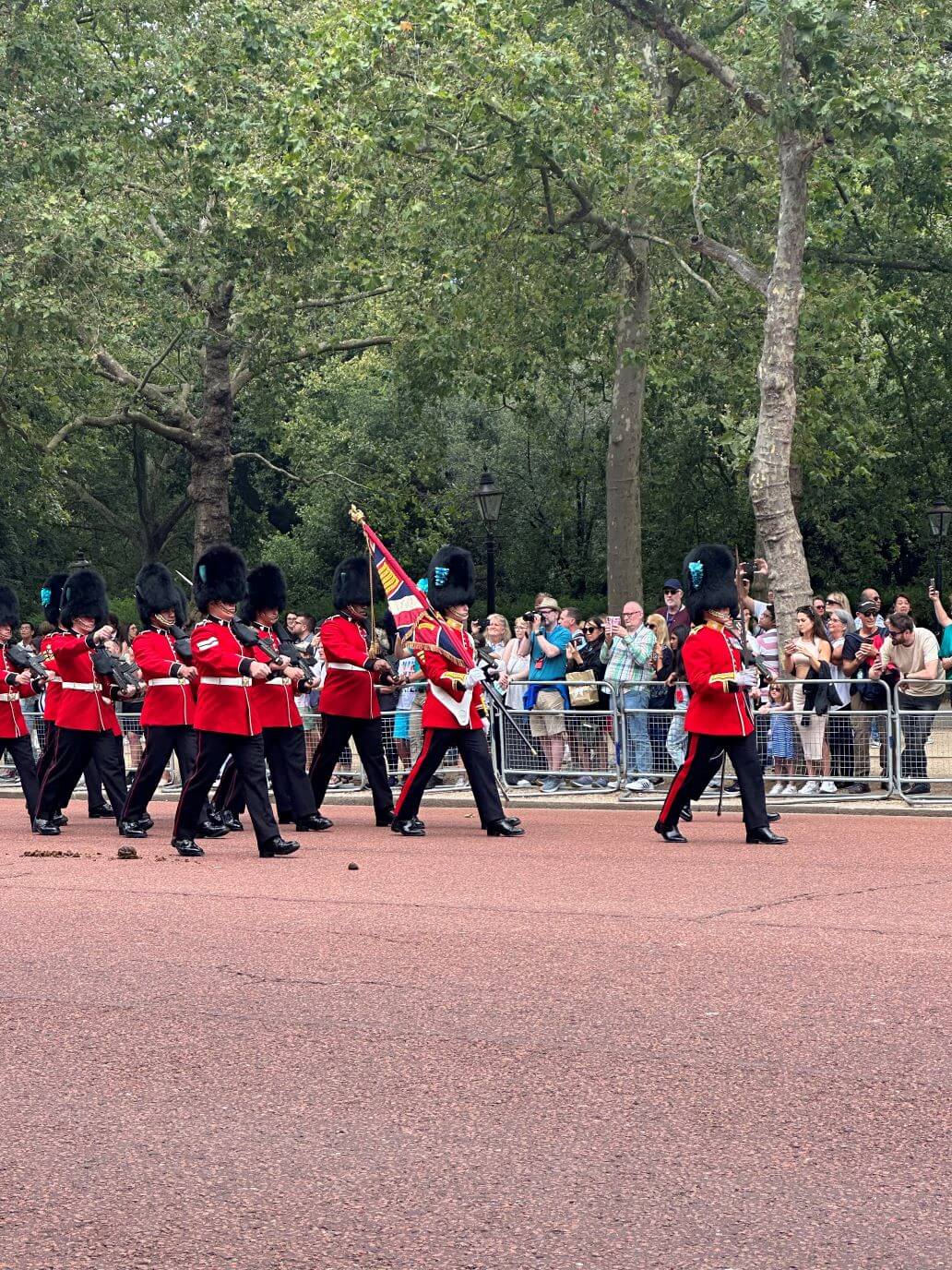 la testa del corte per il cambio della guardia a buckingham palace