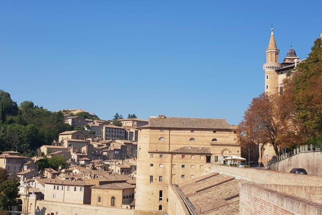 urbino marche