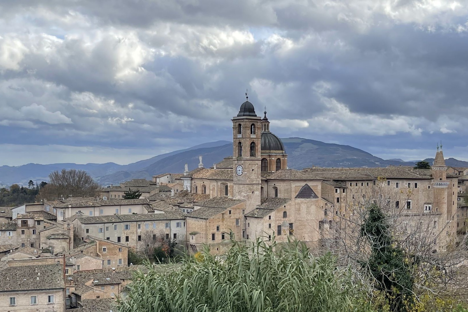 urbino
