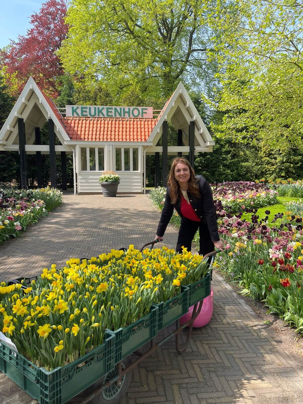 chiara di viaggi e ritratti trascina una carriola di tulipani al parco keukenhof