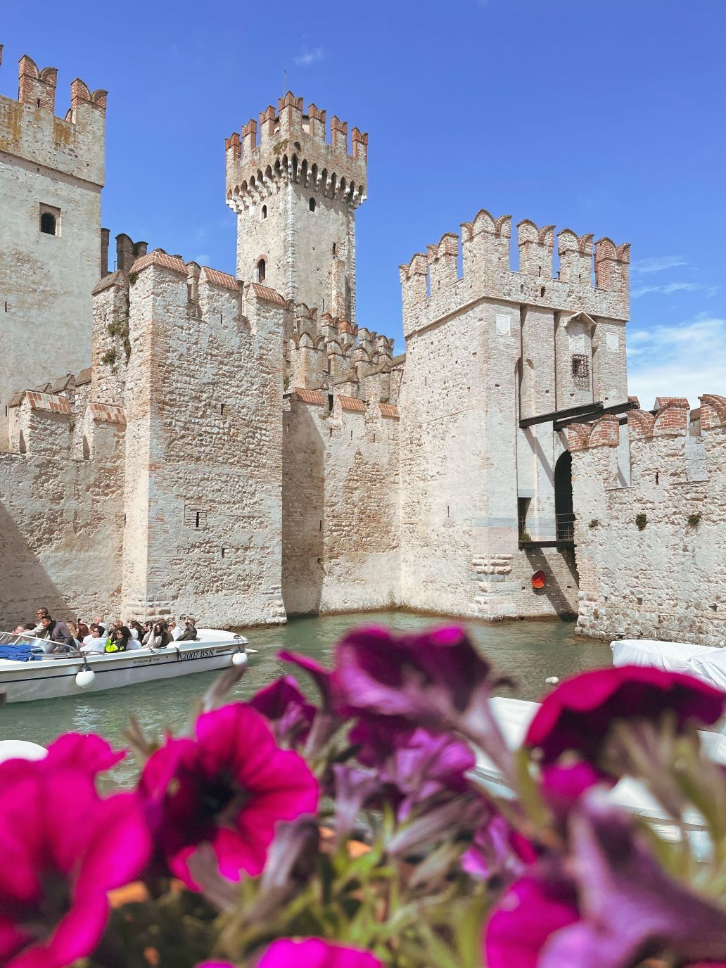 castello scaligero con vaso di fiori