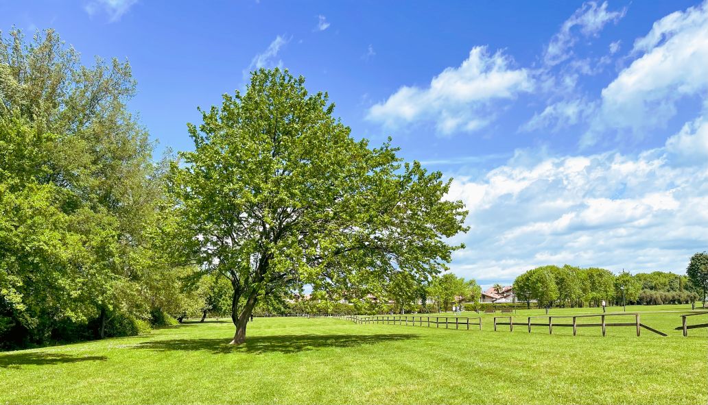 parco san vito