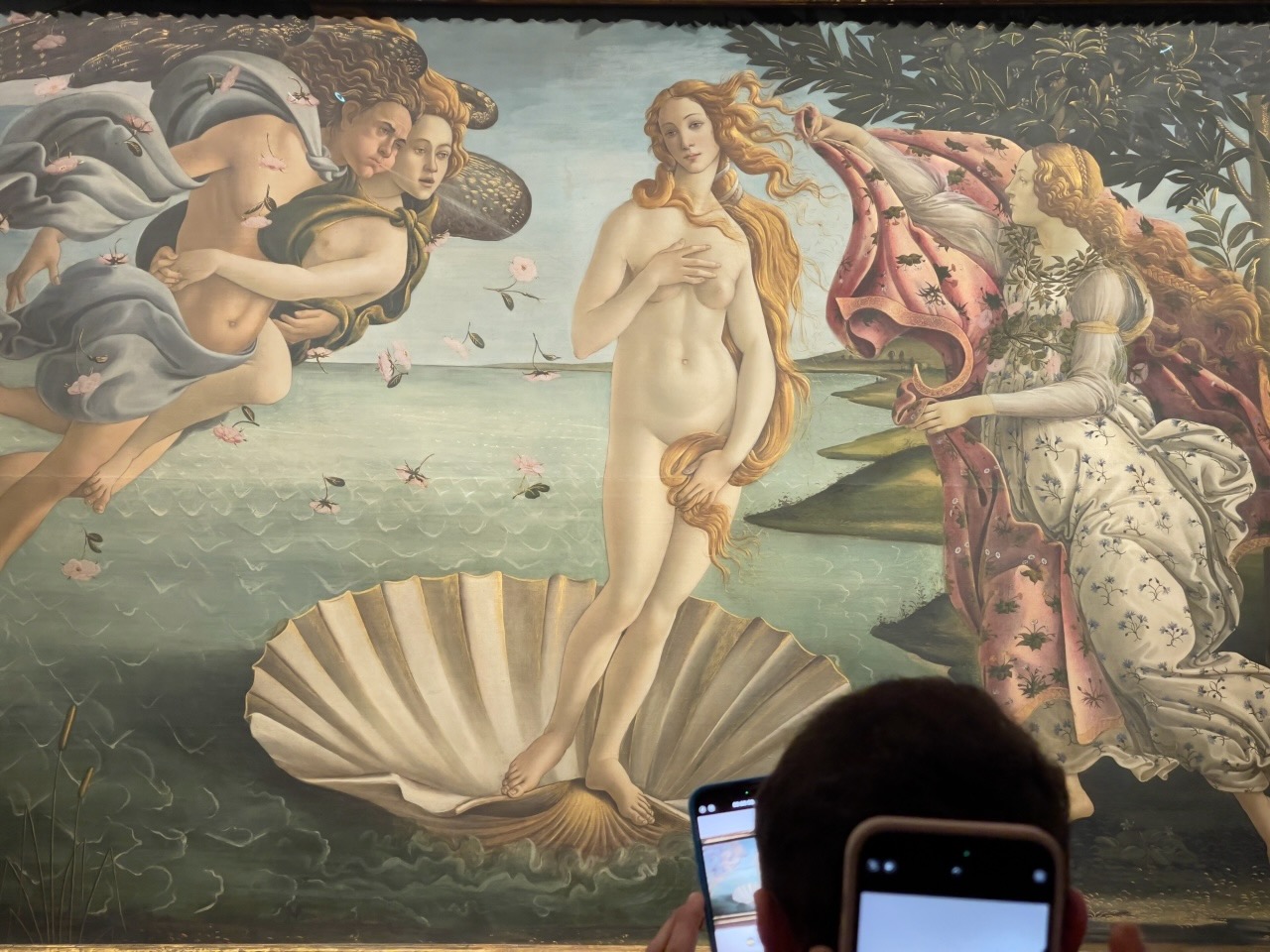 galleria degli uffizi la nascita di venere