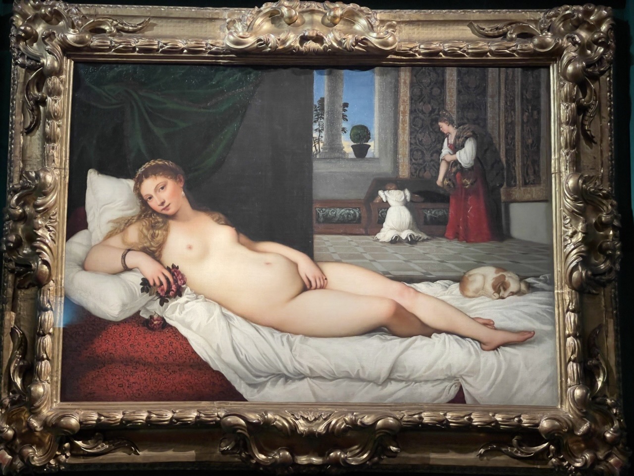 galleria degli uffizi venere di urbino