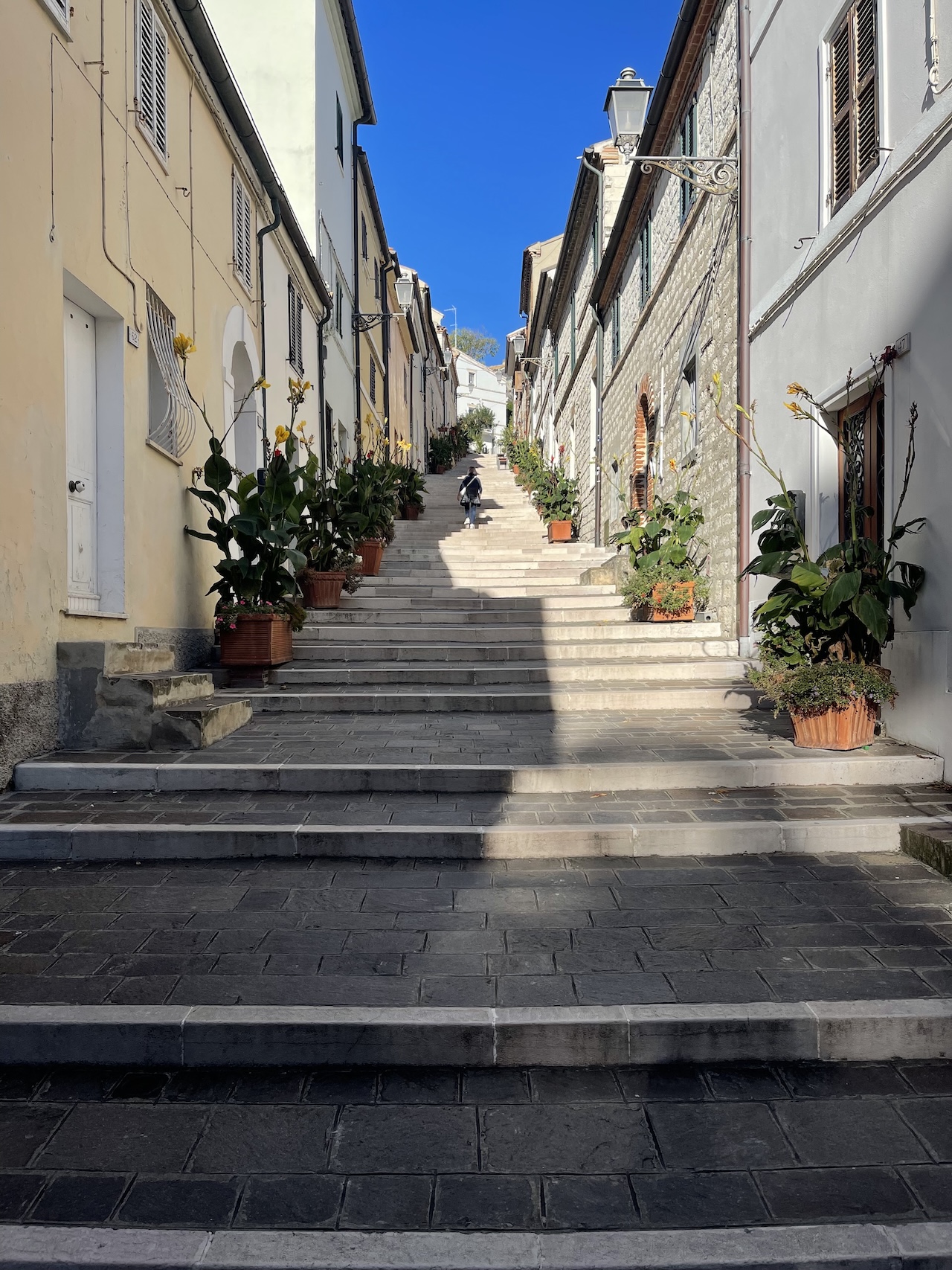 costarella dal basso