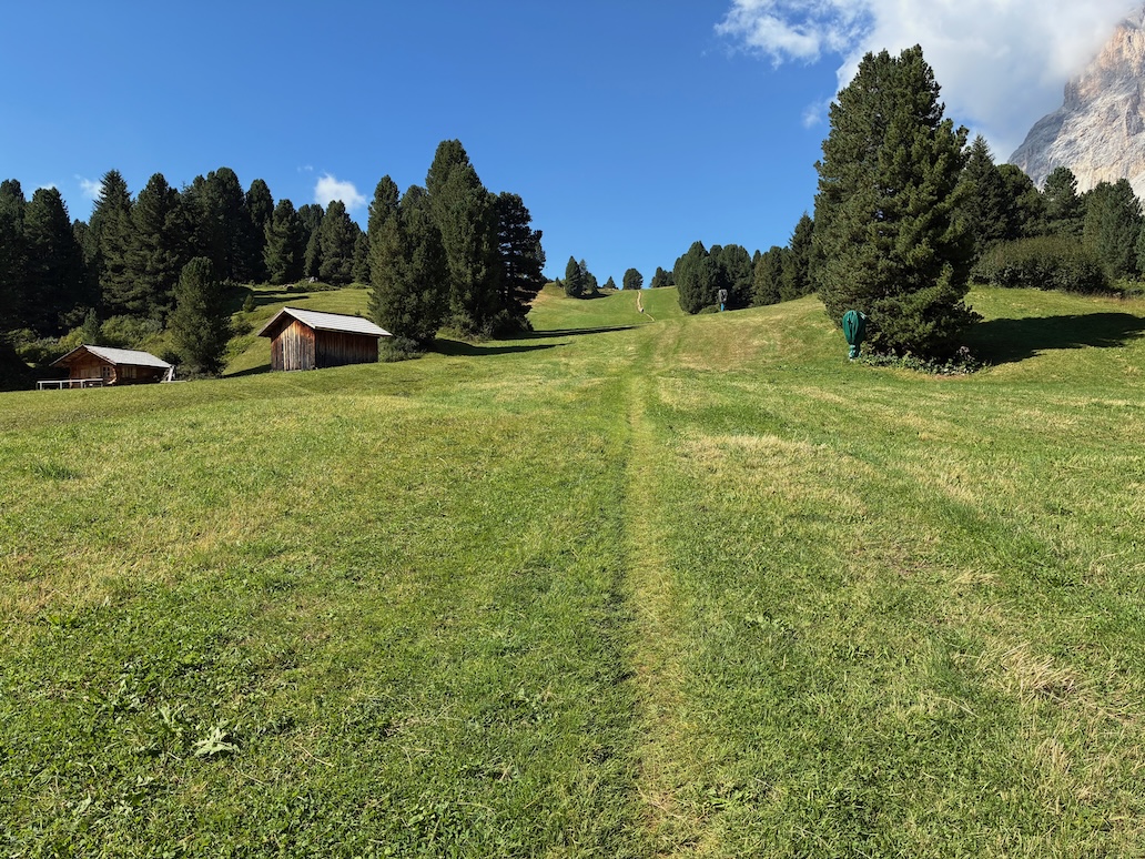 ampia vallata verde da plan de gralba al passo sella