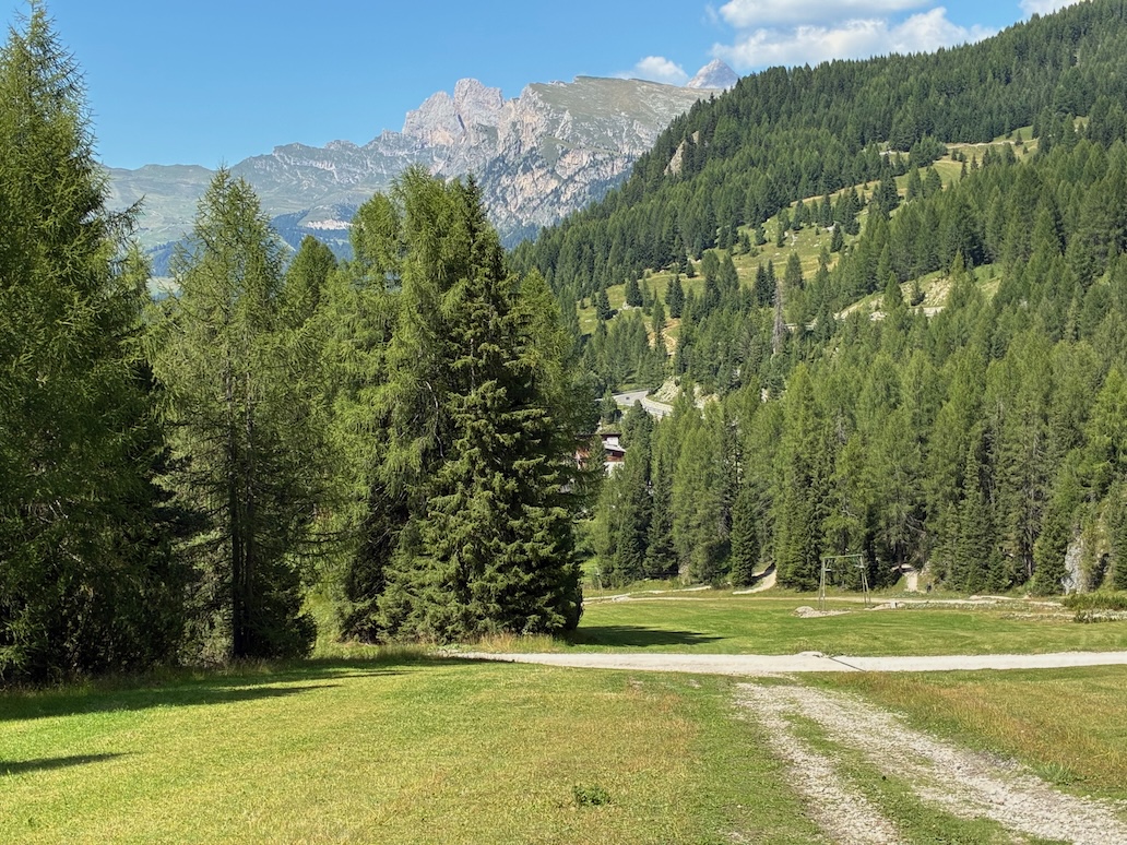 prati verdi escursione da plan de gralba a passo sella