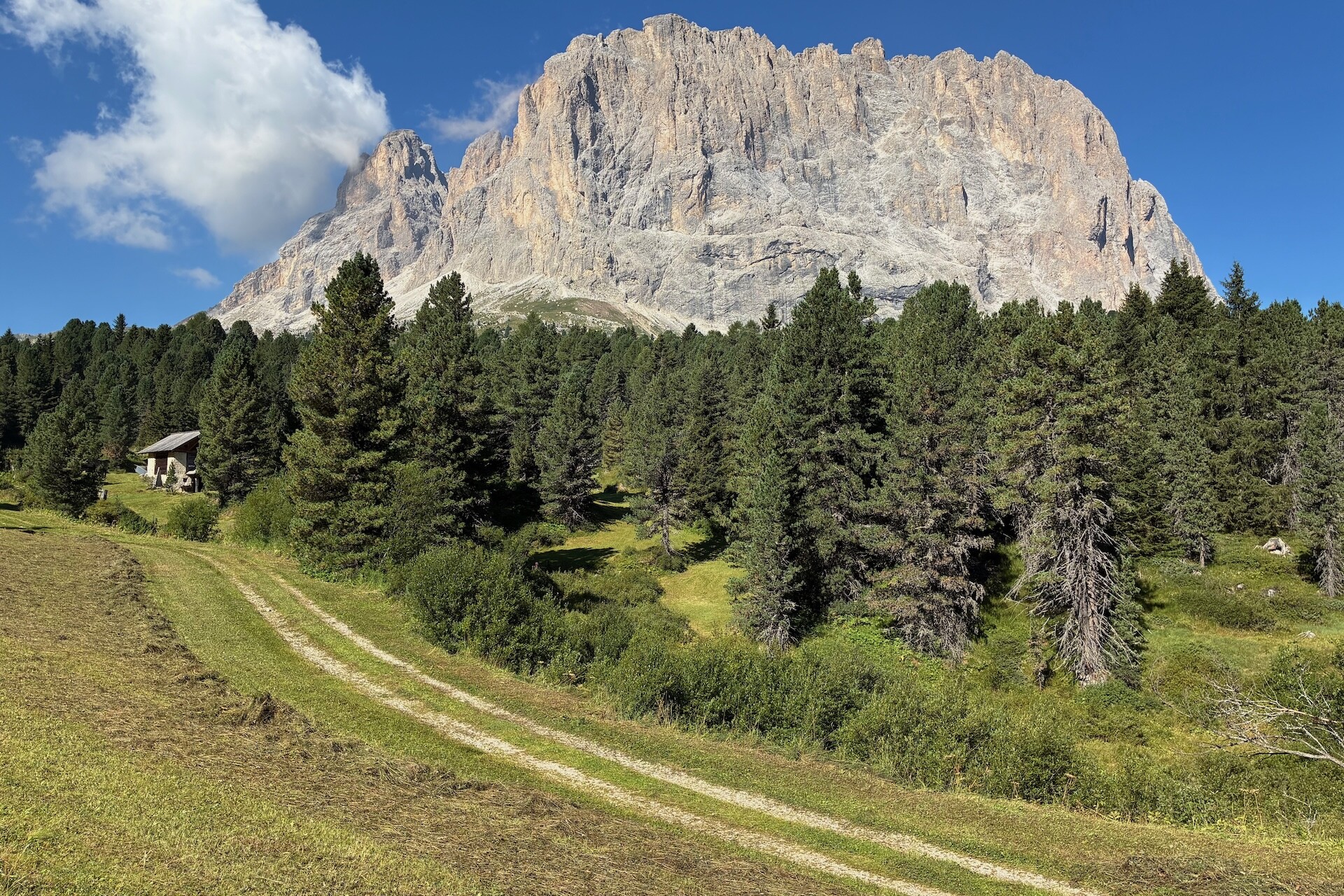 il sassolungo visto durante l'escursione da plan de glarba al passo sella