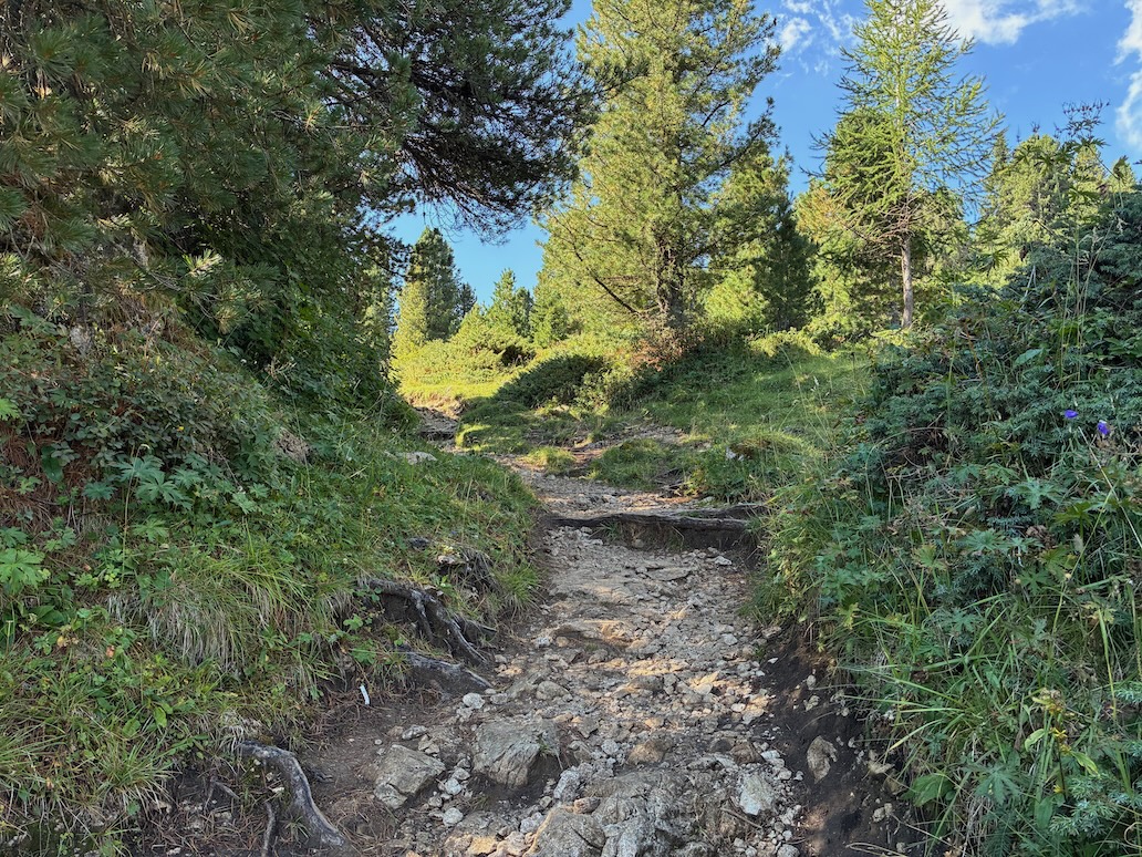 tratto finale dell'escursione da plan de gralba al passo sella