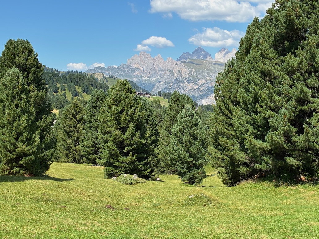 vista sul gruppo delle odle dalla località plan de gralba
